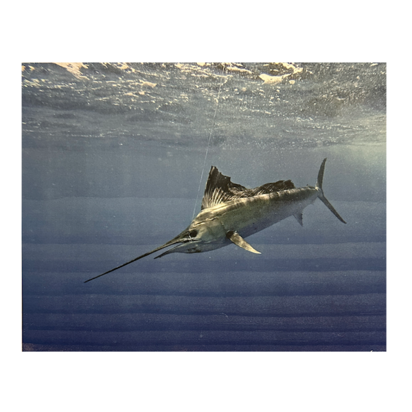 Framed Cabinet - Art Collector's Edition Concealment Cabinet