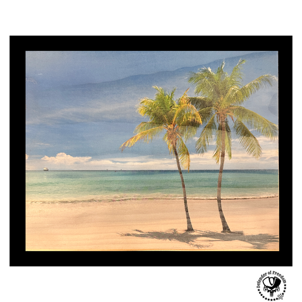 Framed Cabinet - Art Collector's Edition Concealment Cabinet